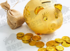 股票配资专业平台的投顾服务质量如何？