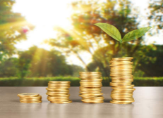 配资平台的杠杆策略：如何在牛策略上最大化你的炒股收益？